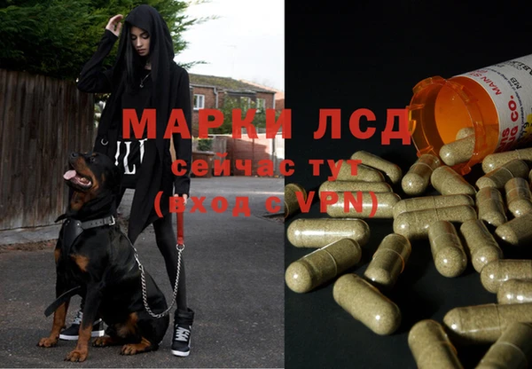 круглые Абаза
