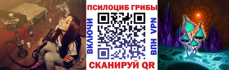 shop какой сайт  Лакинск  Псилоцибиновые грибы мицелий  купить наркотики цена  ссылка на мегу  