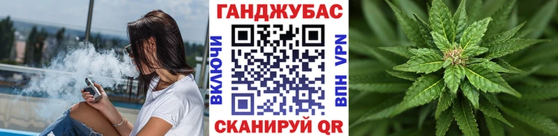 Конопля сатива Лакинск